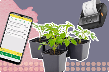 Как с помощью «1С:Мобильной кассы» и мобильных кассиров решить проблему очередей в пик сезона